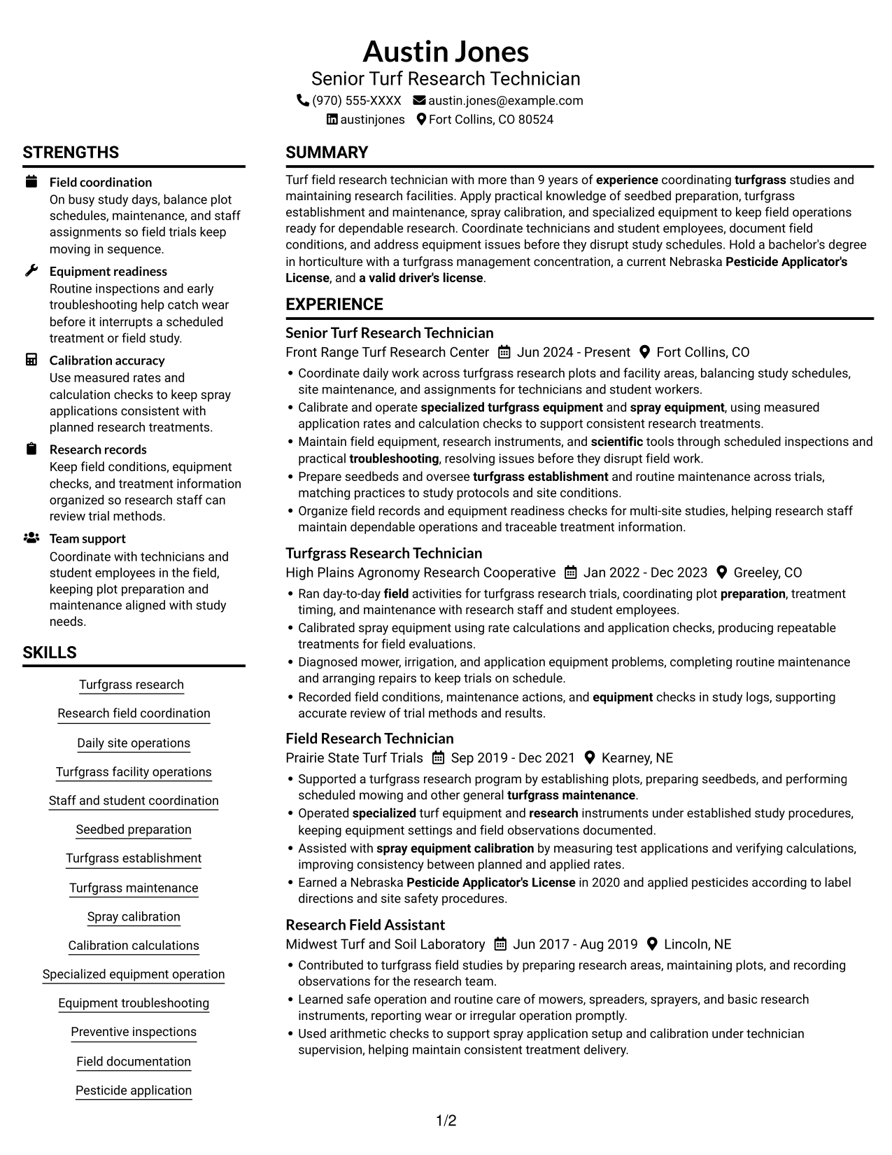 Resume example — page 1