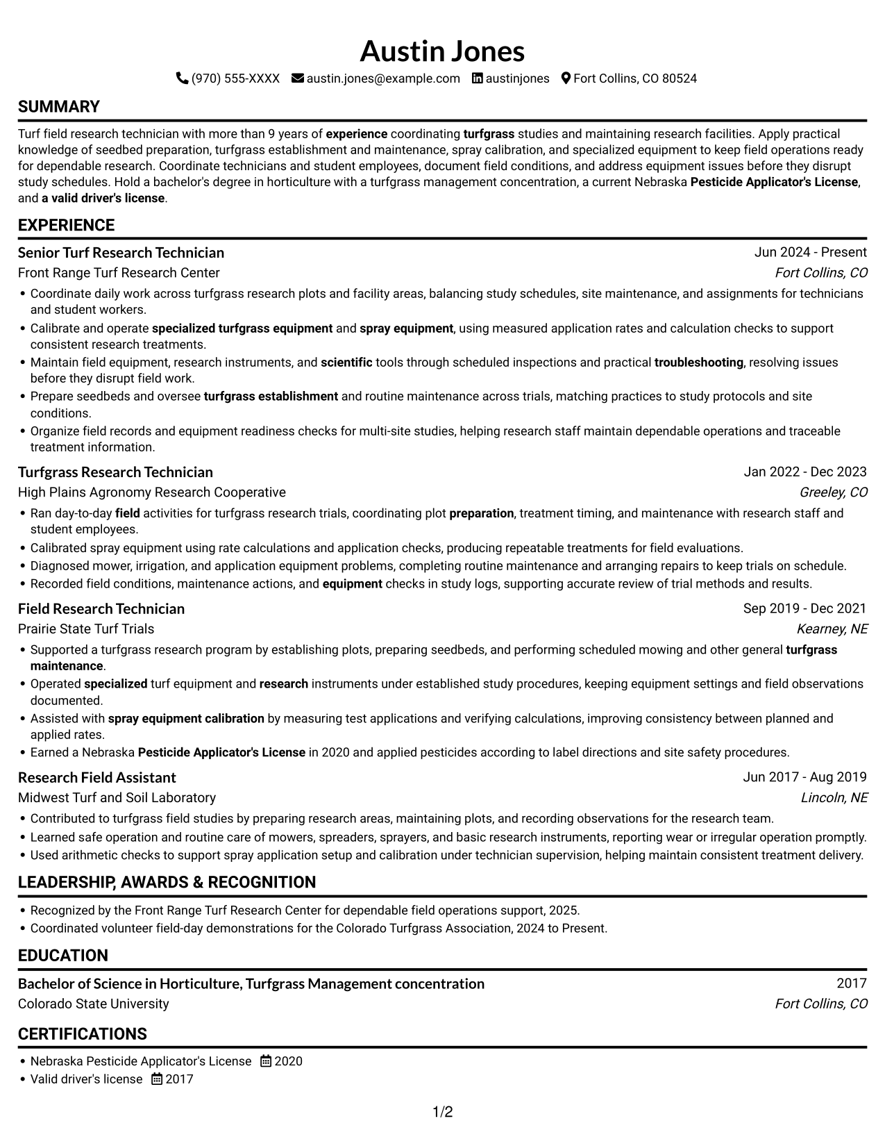 Resume example — page 1