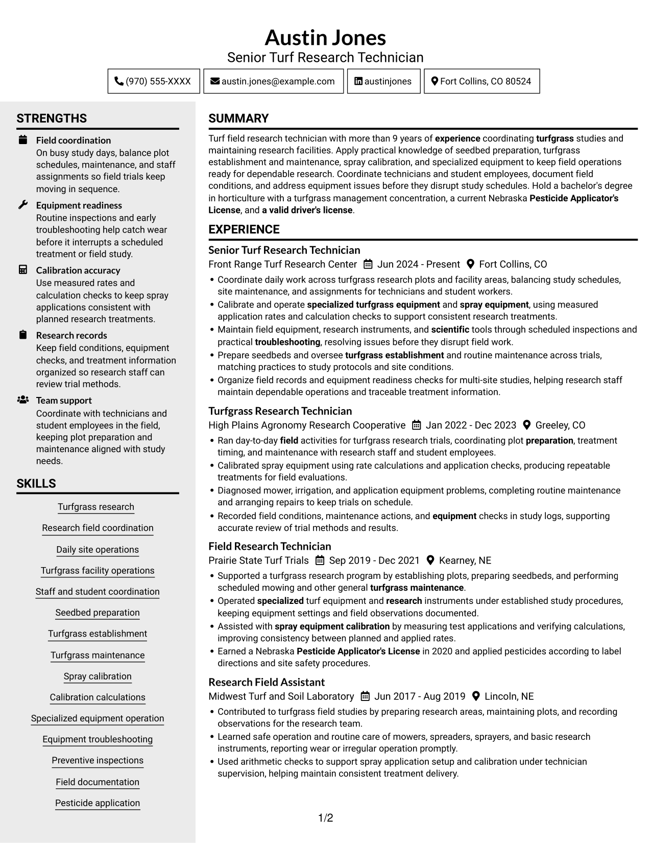 Resume example — page 1