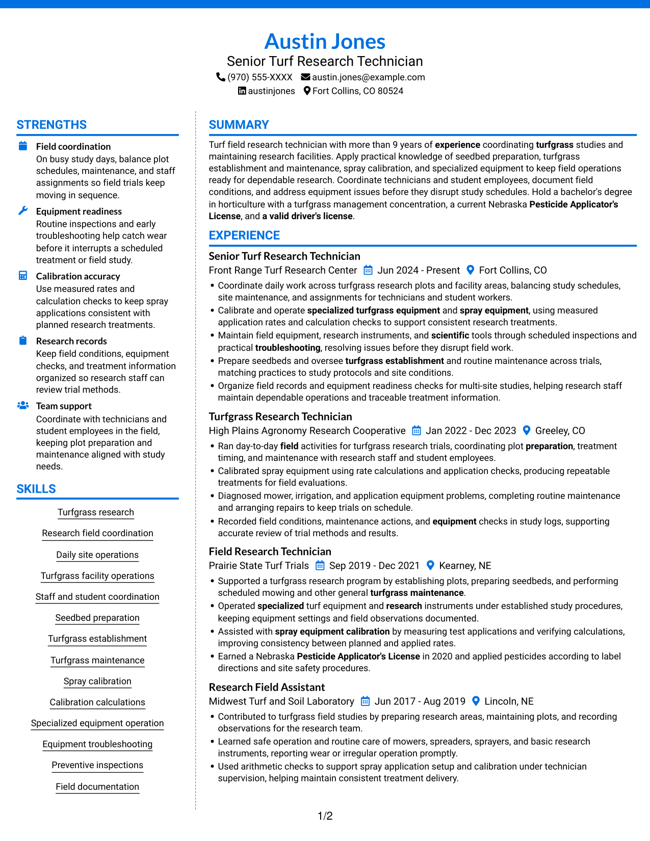 Resume example — page 1