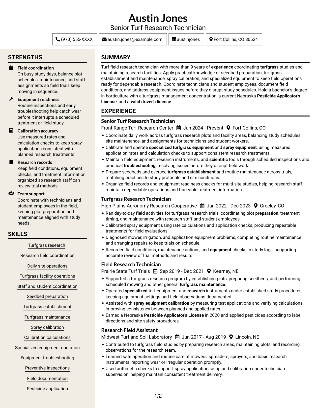 Resume example — page 1