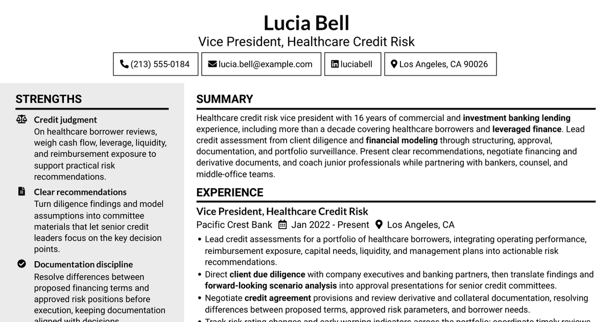 7 Vice President, Investment Banking Credit Risk - Healthcare Leveraged Finance Resume Templates with Example