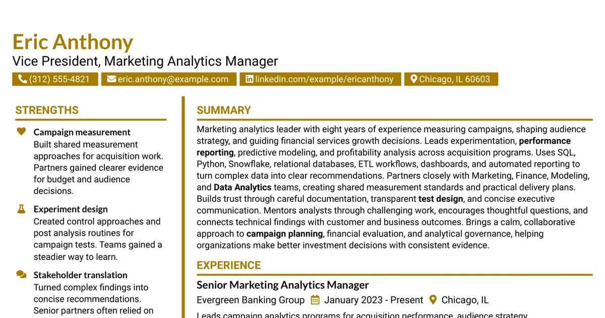 33 Vice President, Marketing Analytics Manager - Small Business Analytics Resume Templates with Example