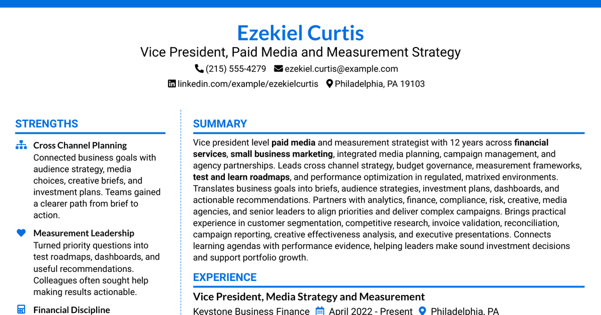 7 Vice President, Paid Media & Measurement Strategy - Small Business Card Resume Templates with Example