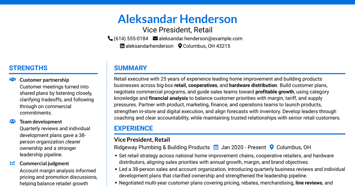 7 Vice President, Retail - Home Improvement Resume Templates with Example