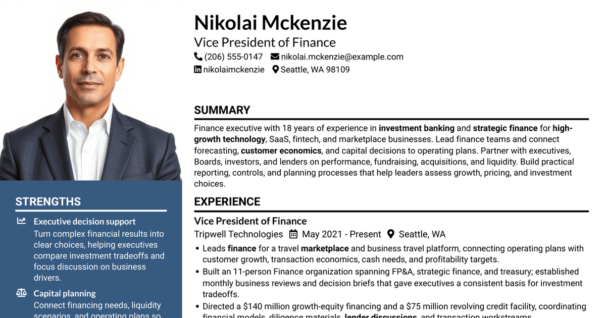 7 VP, Finance - Strategic Finance Resume Templates with Example