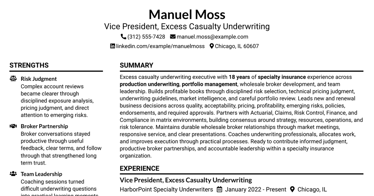 7 VP, Underwriting - Excess Casualty Resume Templates with Example