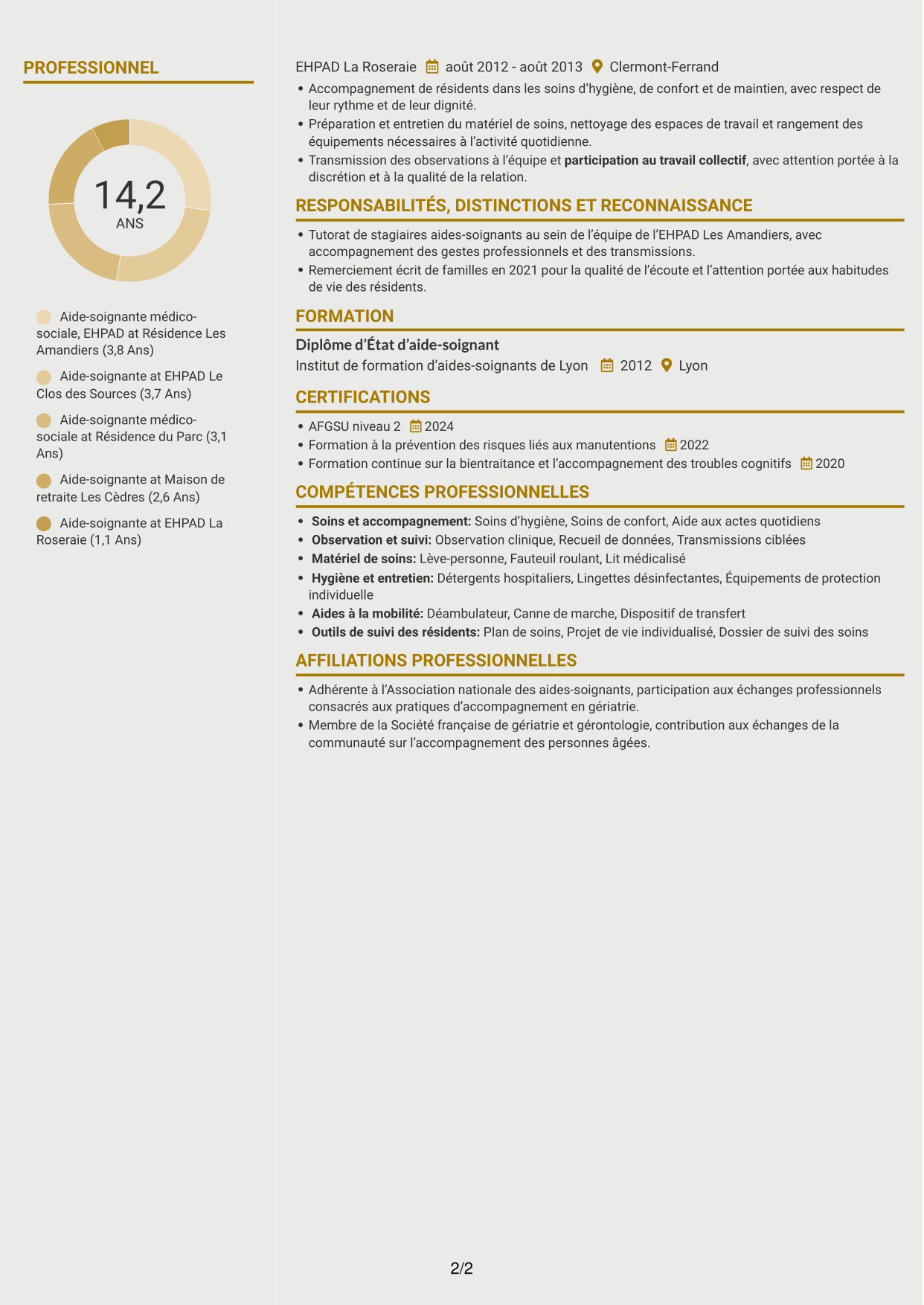 CV Dynamique (format à deux colonnes avec icônes) : Aide-soignant médico-social, page 2