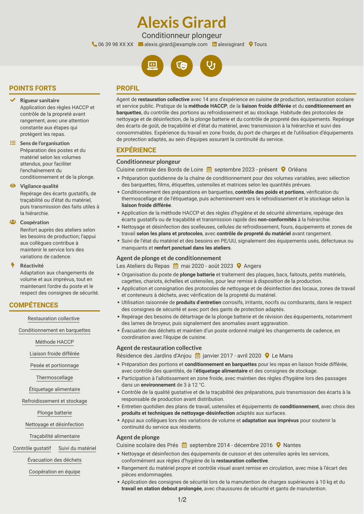 CV Dynamique (format à deux colonnes avec icônes) : Conditionneur plongeur - Restauration collective, page 1