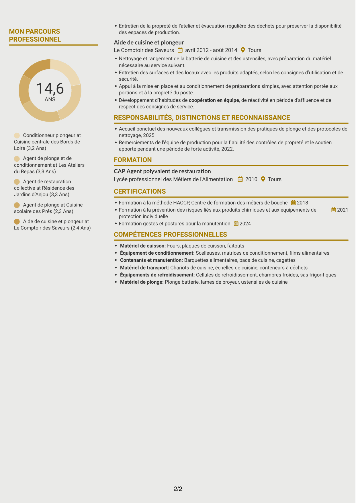 CV Dynamique (format à deux colonnes avec icônes) : Conditionneur plongeur - Restauration collective, page 2