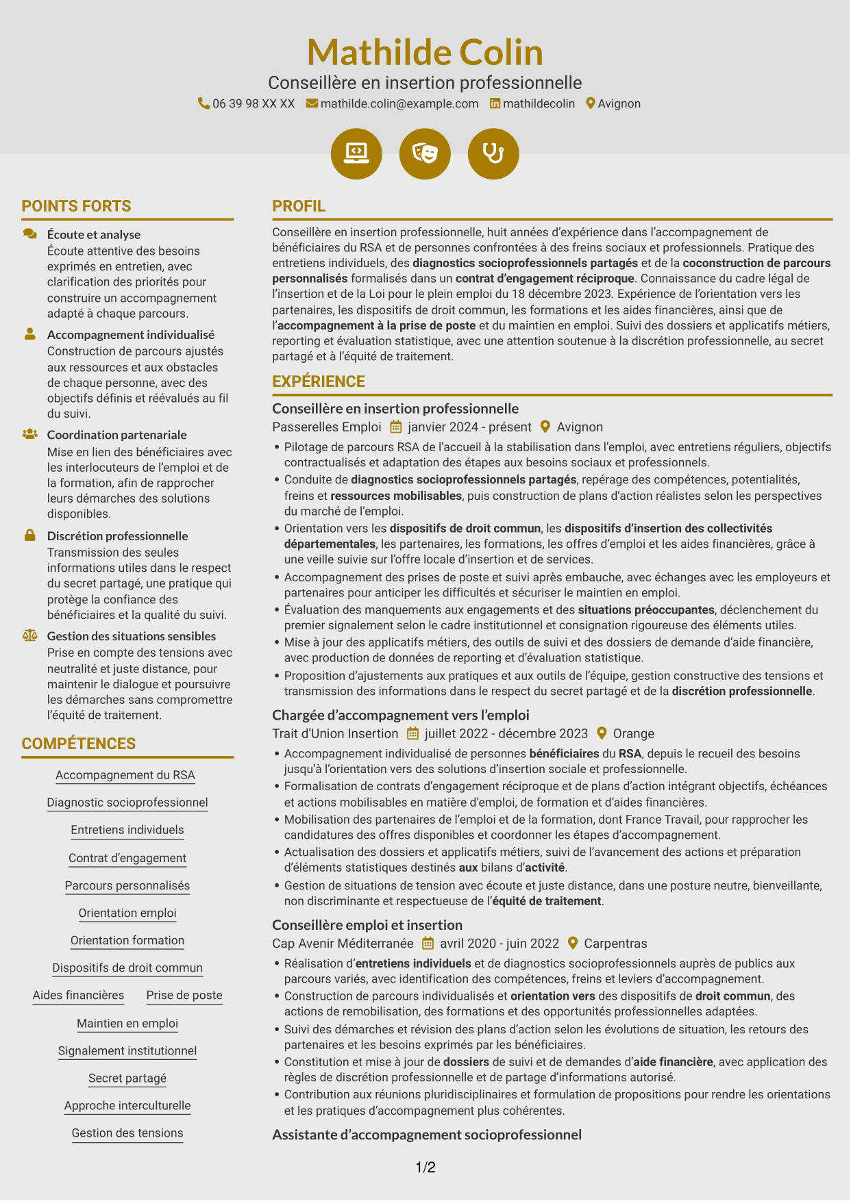 CV Dynamique (format à deux colonnes avec icônes) : Conseiller en insertion professionnelle - Parcours RSA, page 1