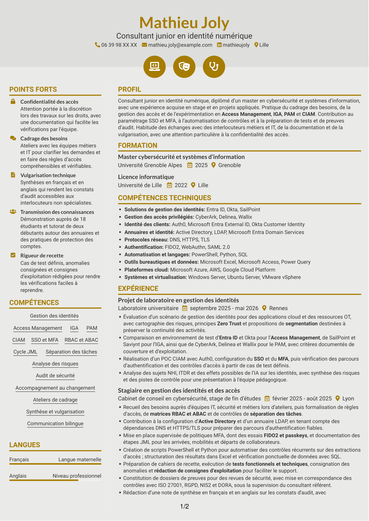 CV Dynamique (format à deux colonnes avec icônes) : Consultant junior - Identité numérique, page 1