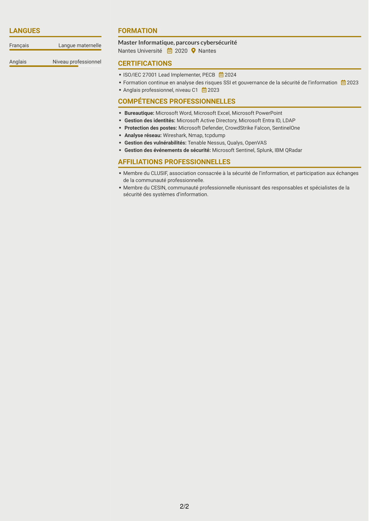 CV Dynamique (format à deux colonnes avec icônes) : Consultant RSSI - Gouvernance SSI, page 2