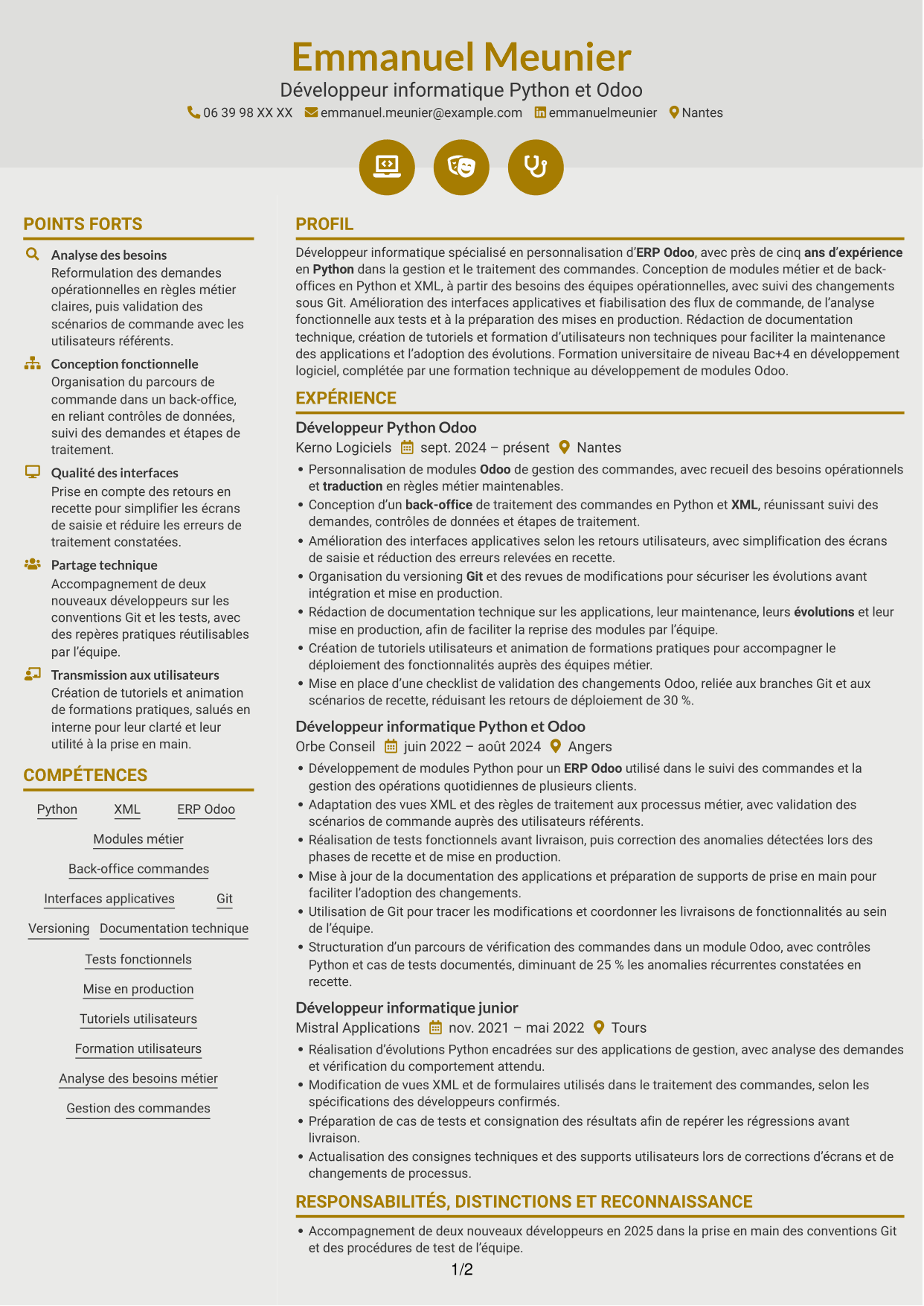 CV Dynamique (format à deux colonnes avec icônes) : Développeur informatique - Python et Odoo, page 1