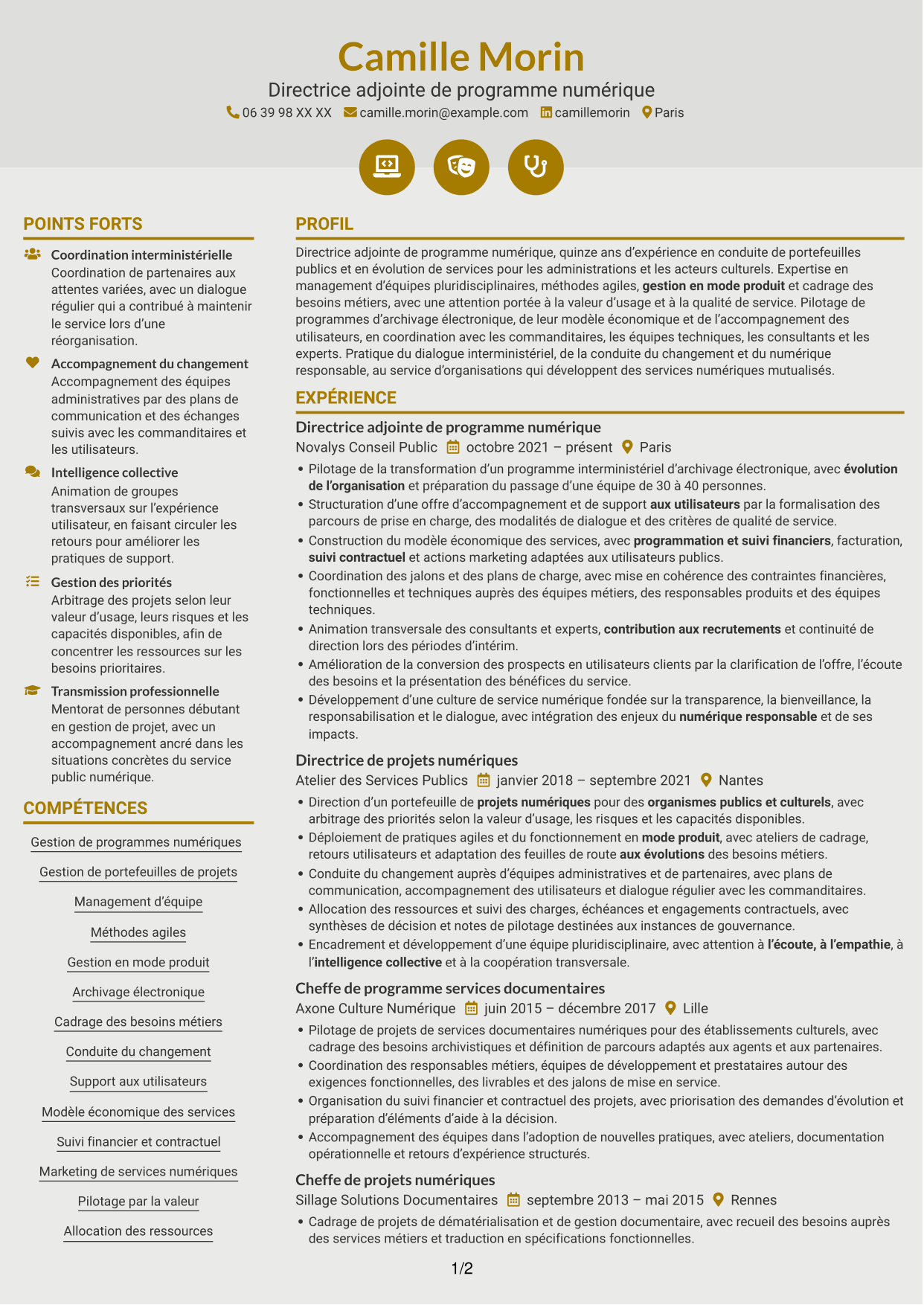 CV Dynamique (format à deux colonnes avec icônes) : Directeur adjoint de programme - Services d’archivage électronique, page 1