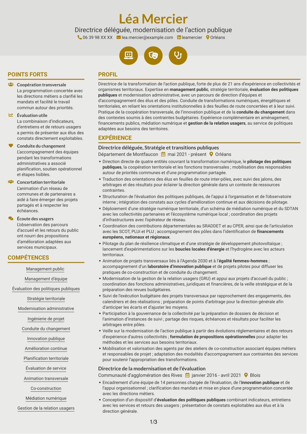 CV Dynamique (format à deux colonnes avec icônes) : Directeur délégué - Modernisation de l’action publique, page 1