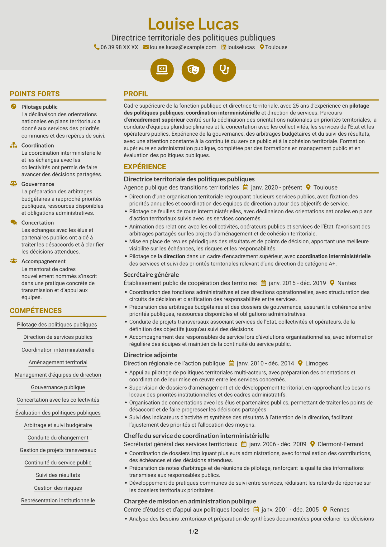 CV Dynamique (format à deux colonnes avec icônes) : Directeur départemental interministériel - Pilotage des politiques publiques, page 1