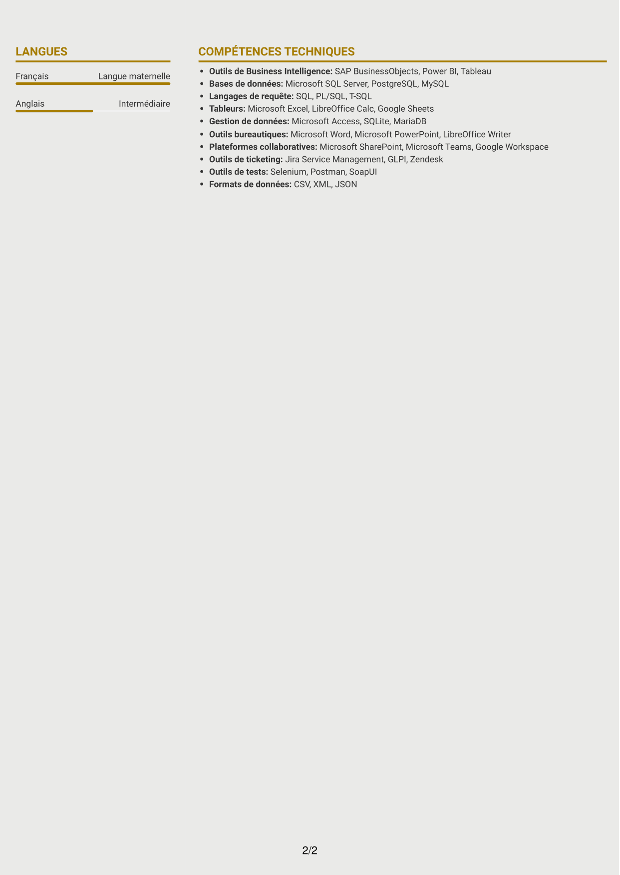 CV Dynamique (format à deux colonnes avec icônes) : Responsable d’application utilisateur - Applications de l’autonomie, page 2