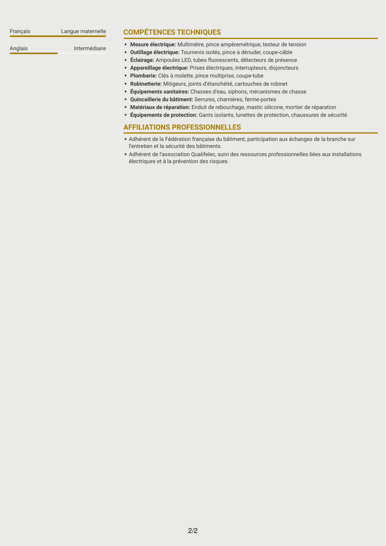 CV Dynamique (format à deux colonnes avec icônes) : Technicien de maintenance des bâtiments - Sites touristiques, page 2
