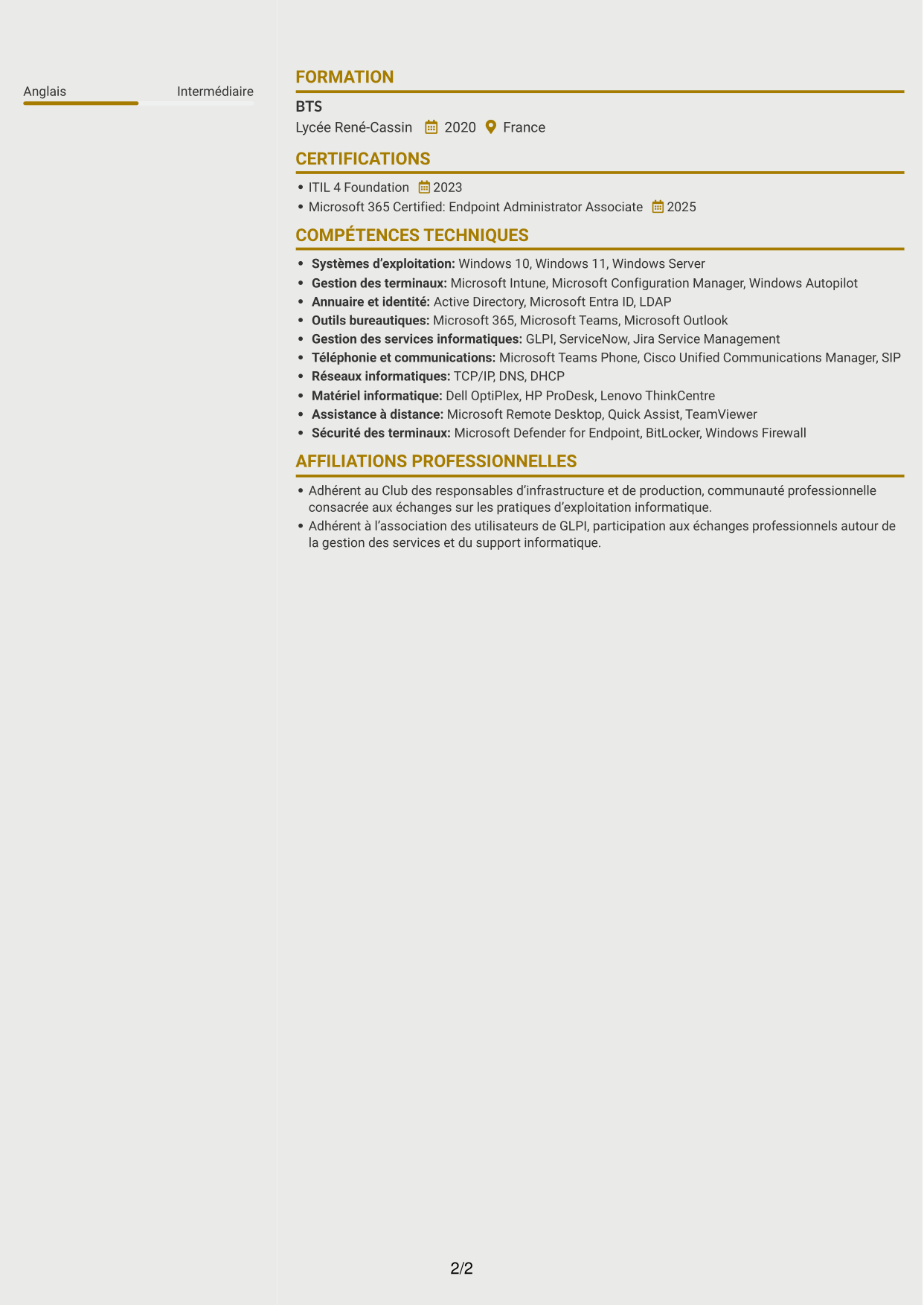 CV Dynamique (format à deux colonnes avec icônes) : Technicien infrastructure informatique - Support utilisateurs et téléphonie, page 2
