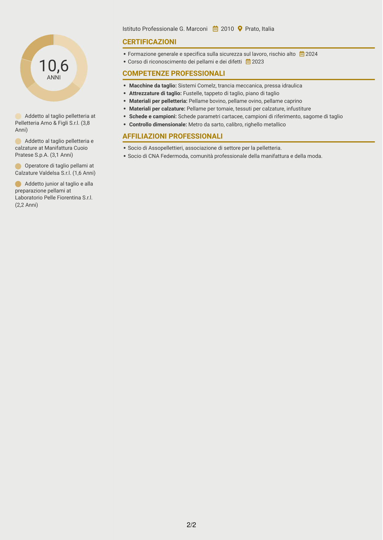 CV Dinamico (formato a due colonne con icone): Addetto al taglio pelletteria, pagina 2