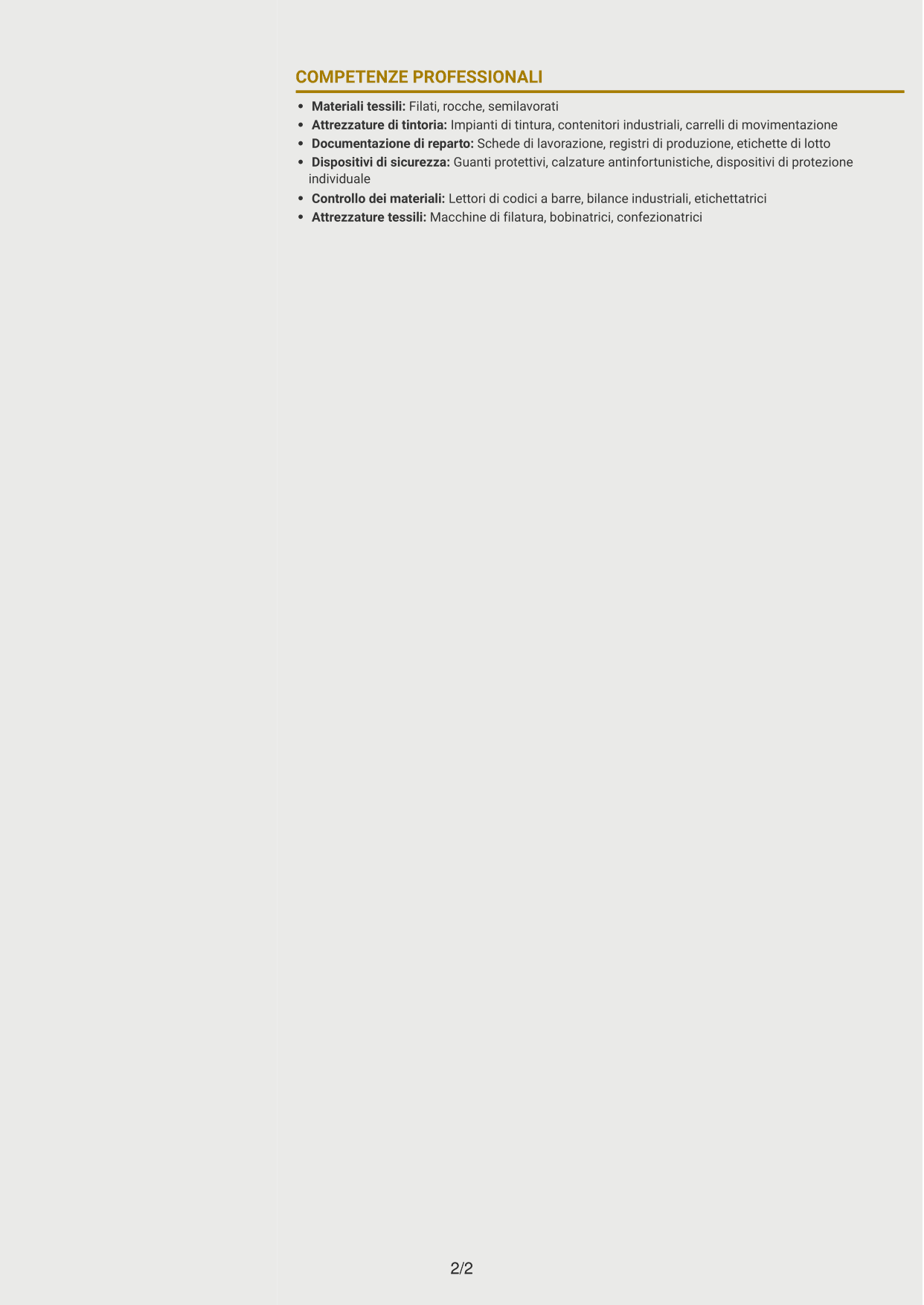 CV Dinamico (formato a due colonne con icone): Addetto alla Produzione - Tintoria di Filati, pagina 2
