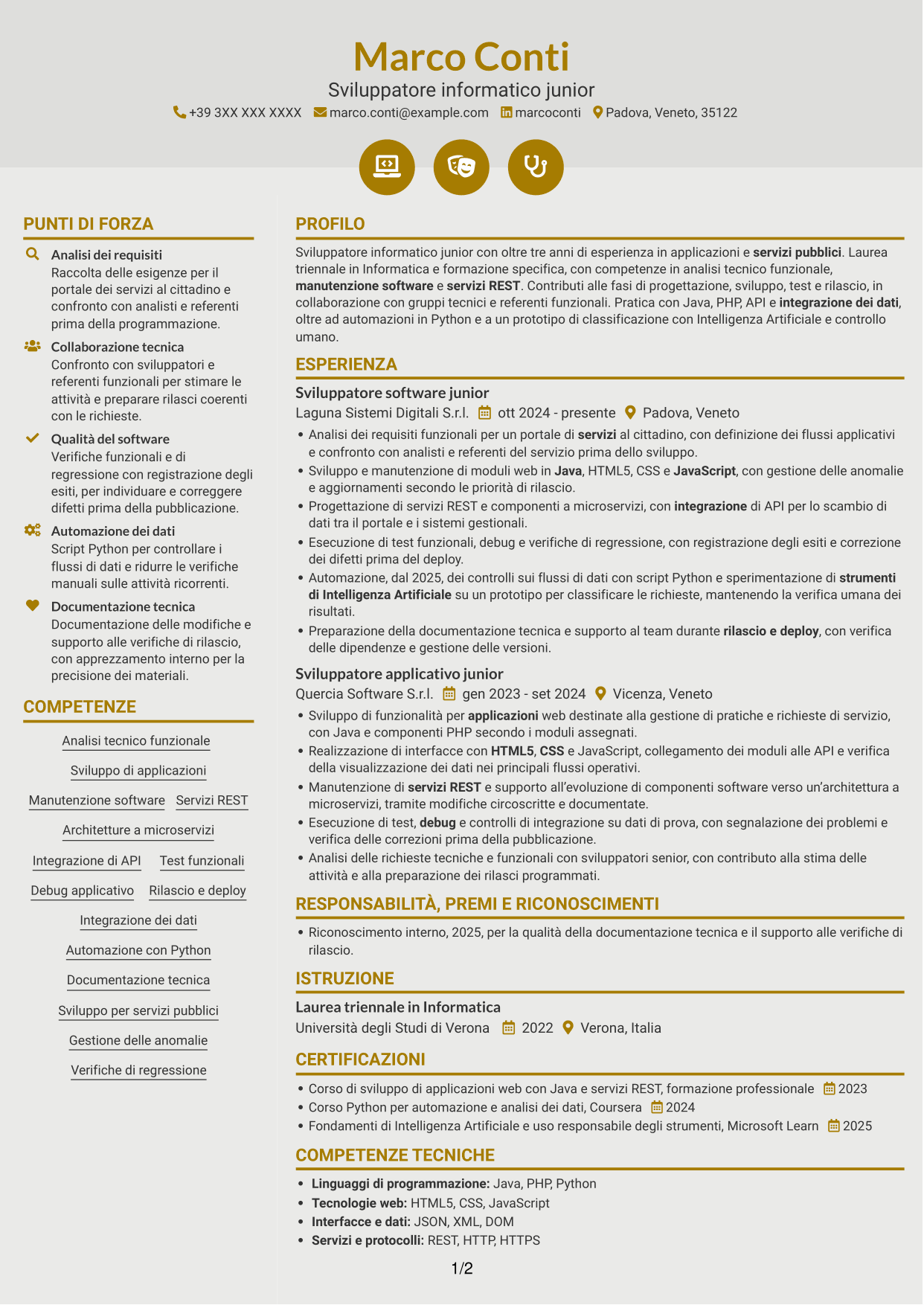 CV Dinamico (formato a due colonne con icone): Analista sviluppatore informatico junior - Servizi pubblici, pagina 1