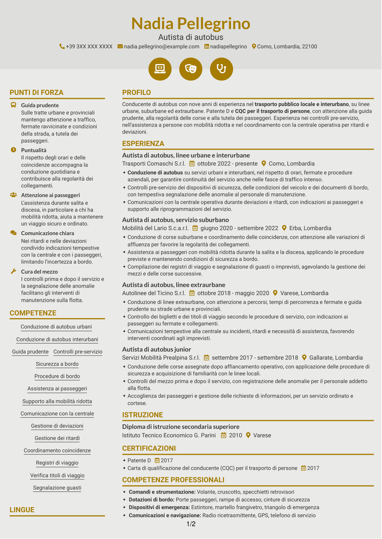 CV Dinamico (formato a due colonne con icone): Autista di autobus - Trasporto pubblico, pagina 1