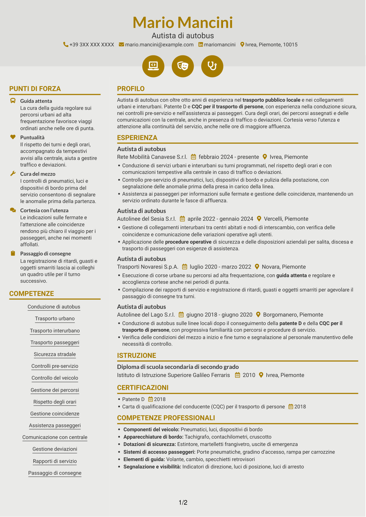 CV Dinamico (formato a due colonne con icone): Autista di autobus - Trasporto pubblico locale, pagina 1
