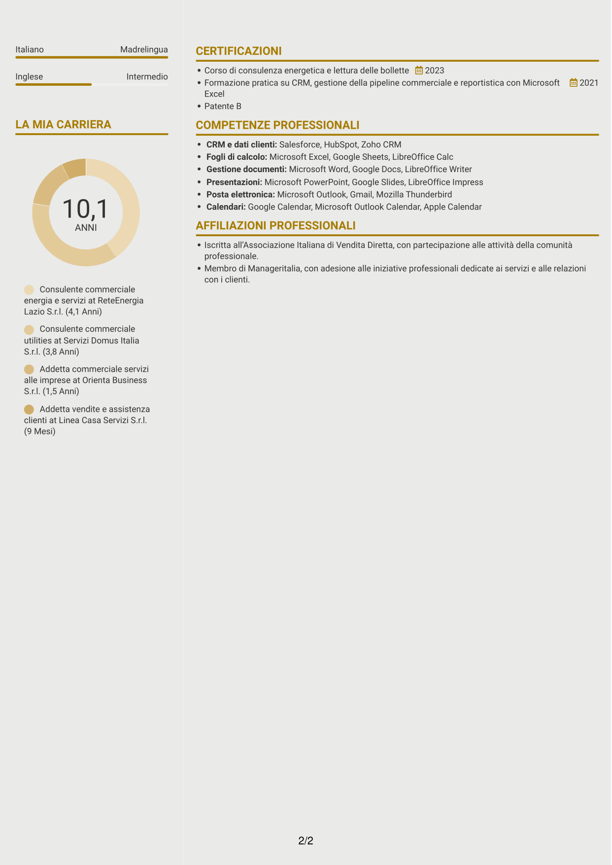 CV Dinamico (formato a due colonne con icone): Commerciale per soluzioni energetiche, pagina 2