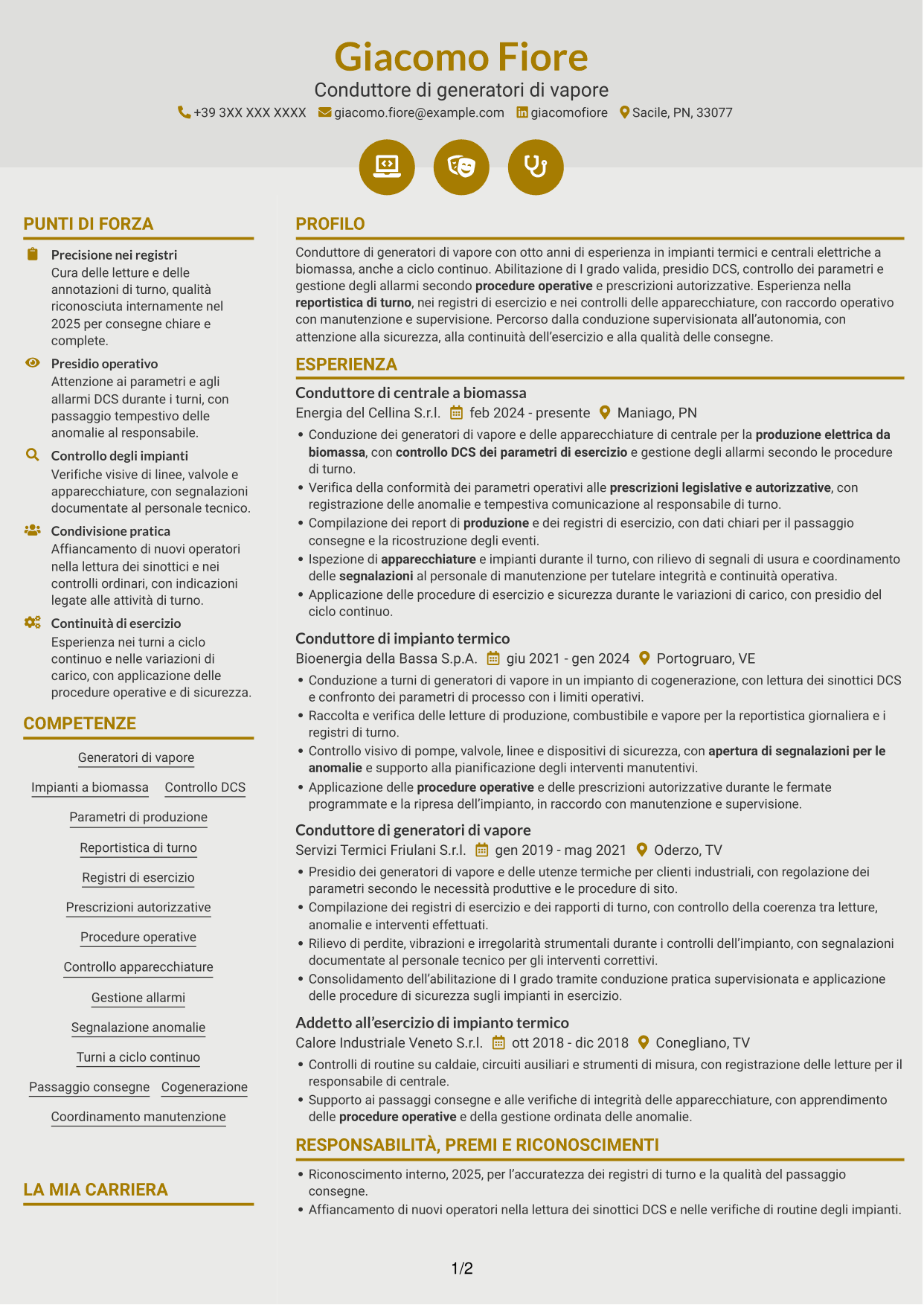 CV Dinamico (formato a due colonne con icone): Conduttore di generatori di vapore - Produzione elettrica da biomassa, pagina 1