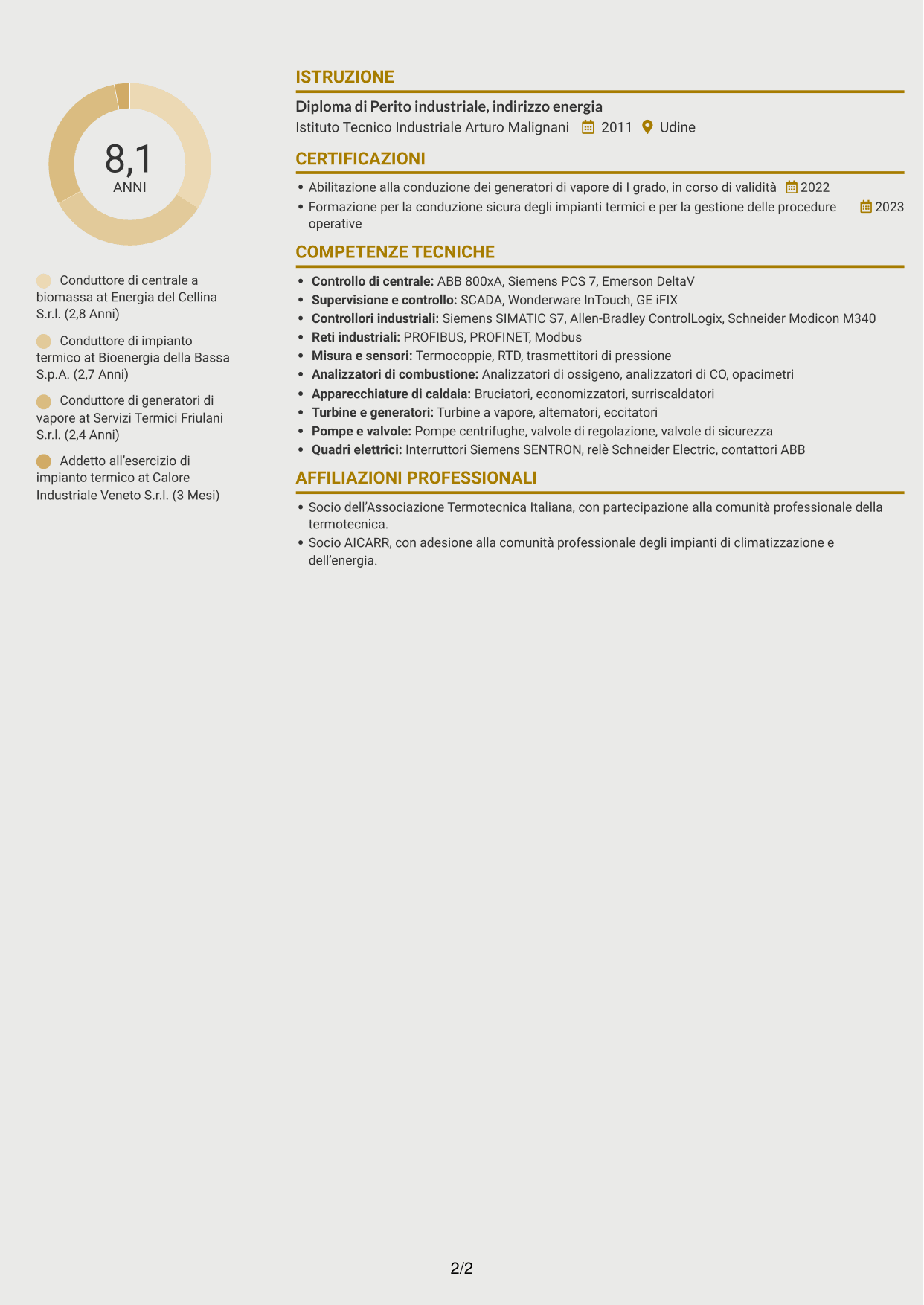 CV Dinamico (formato a due colonne con icone): Conduttore di generatori di vapore - Produzione elettrica da biomassa, pagina 2
