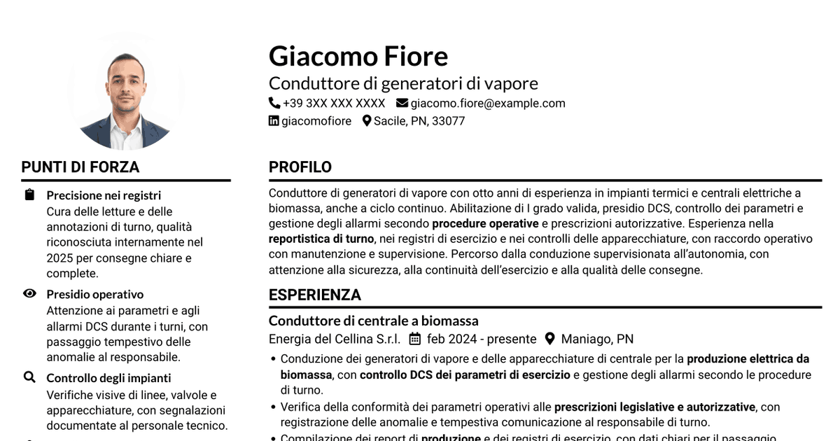7 modelli di CV per Conduttore di generatori di vapore - Produzione elettrica da biomassa, con esempi