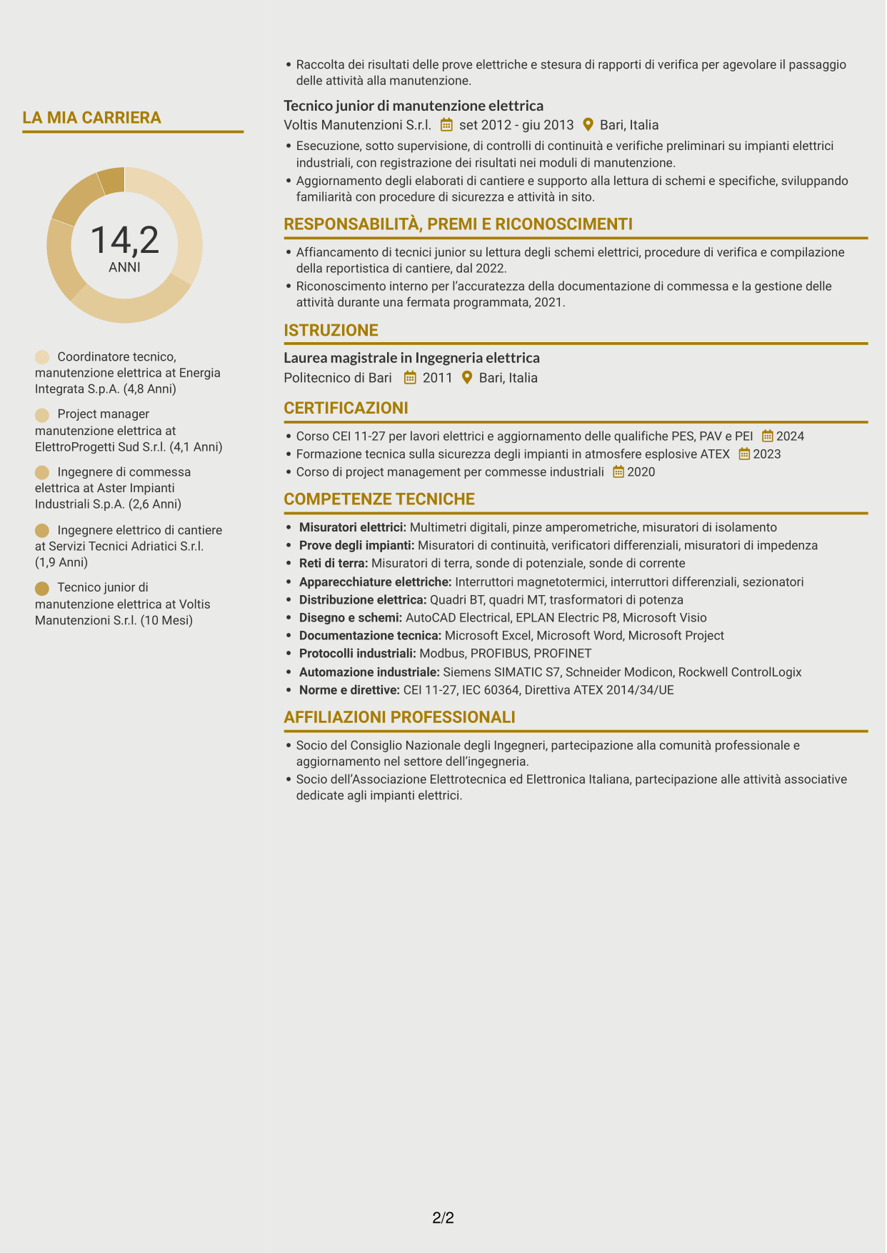 CV Dinamico (formato a due colonne con icone): Coordinatore tecnico strumentazione ed elettrica, pagina 2