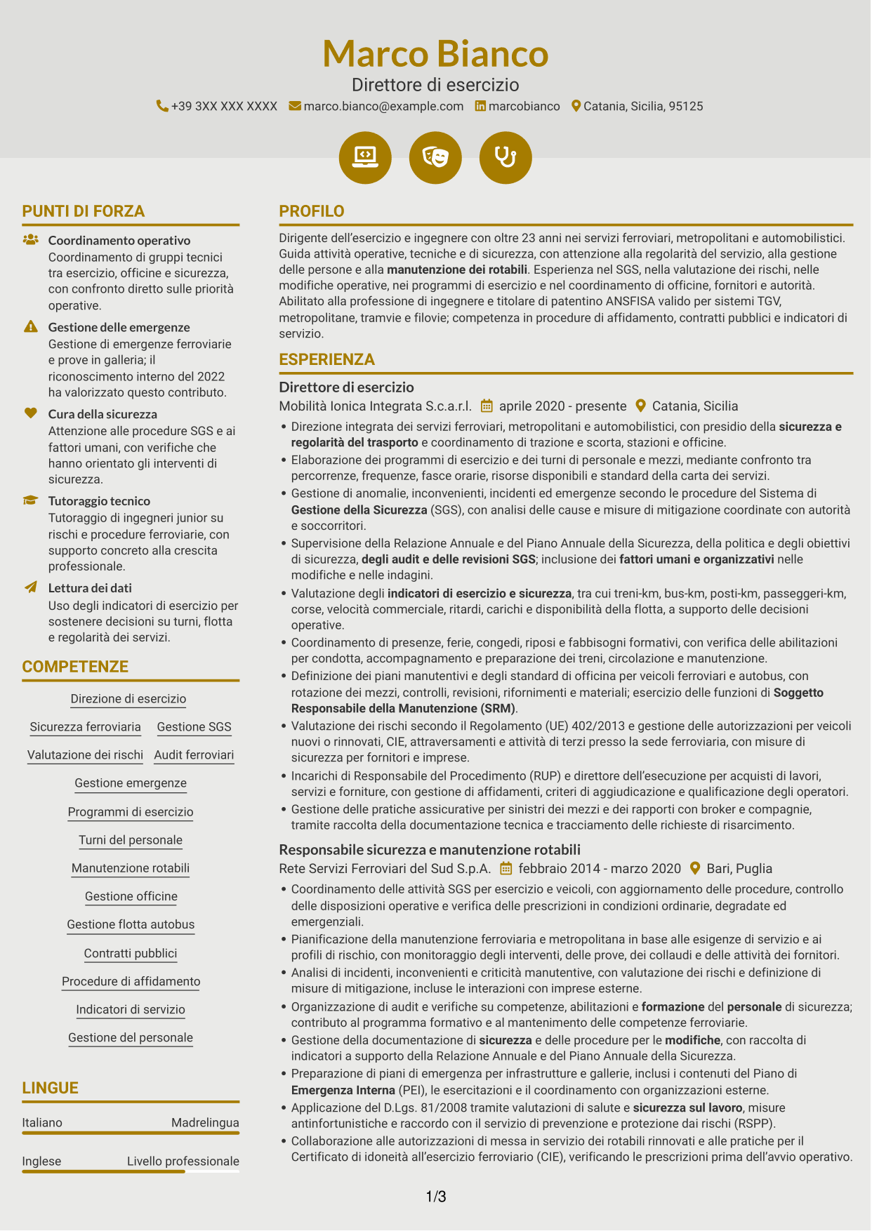 CV Dinamico (formato a due colonne con icone): Direttore di esercizio - Trasporto ferroviario e metropolitano, pagina 1