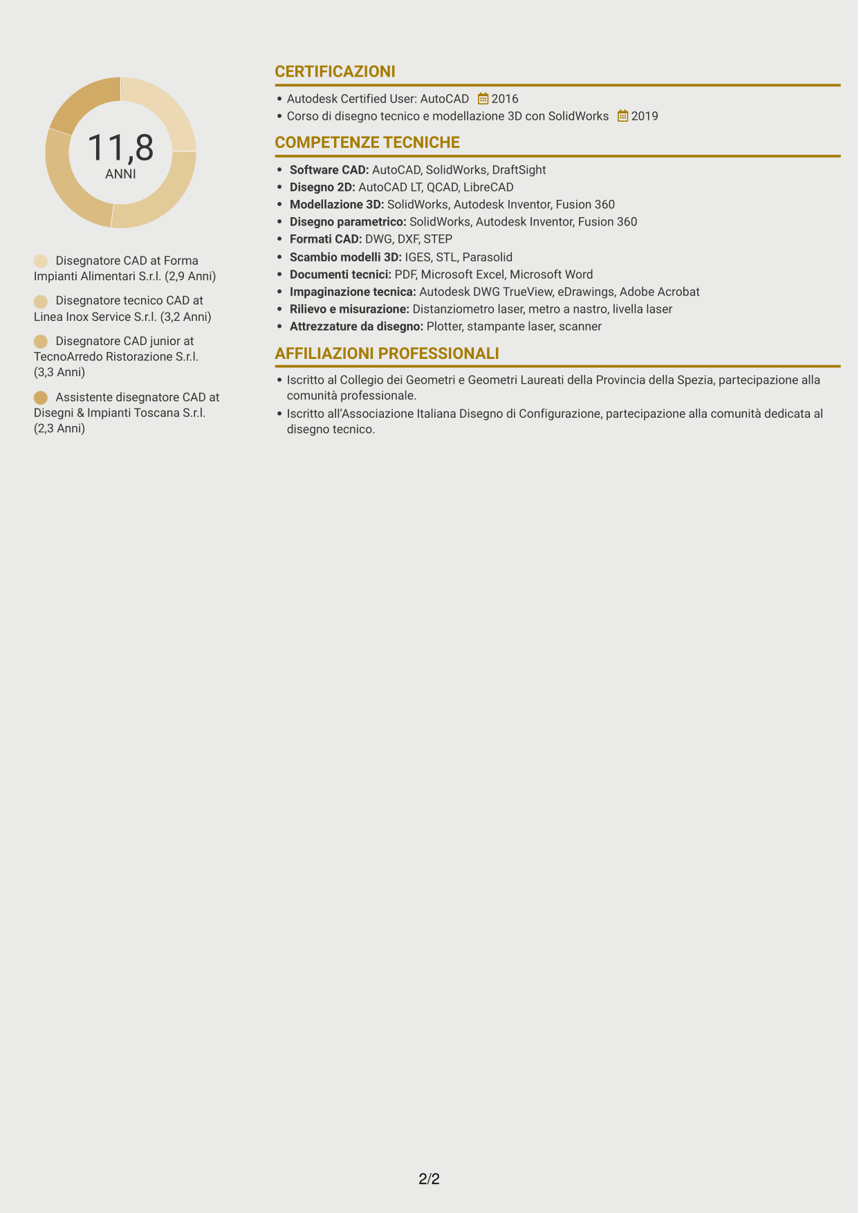 CV Dinamico (formato a due colonne con icone): Disegnatore CAD - Attrezzature per il settore alimentare, pagina 2
