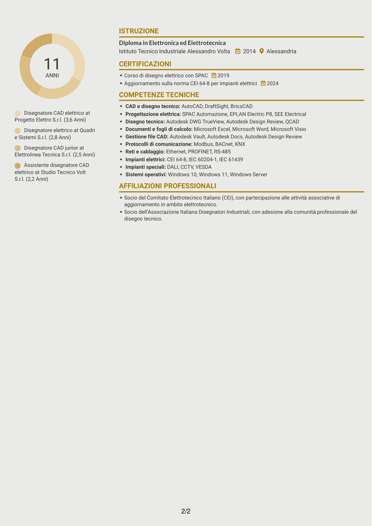 CV Dinamico (formato a due colonne con icone): Disegnatore CAD - Impiantistica elettrica, pagina 2