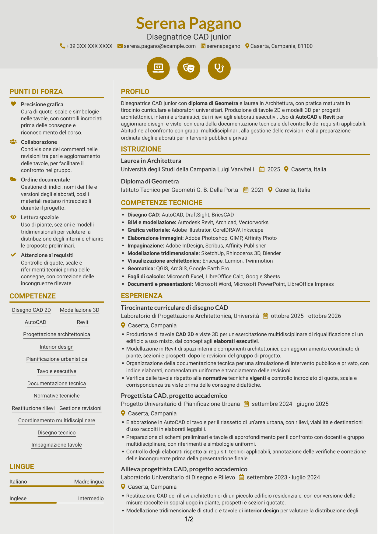 CV Dinamico (formato a due colonne con icone): Disegnatore CAD Junior - Progettazione architettonica e urbanistica, pagina 1