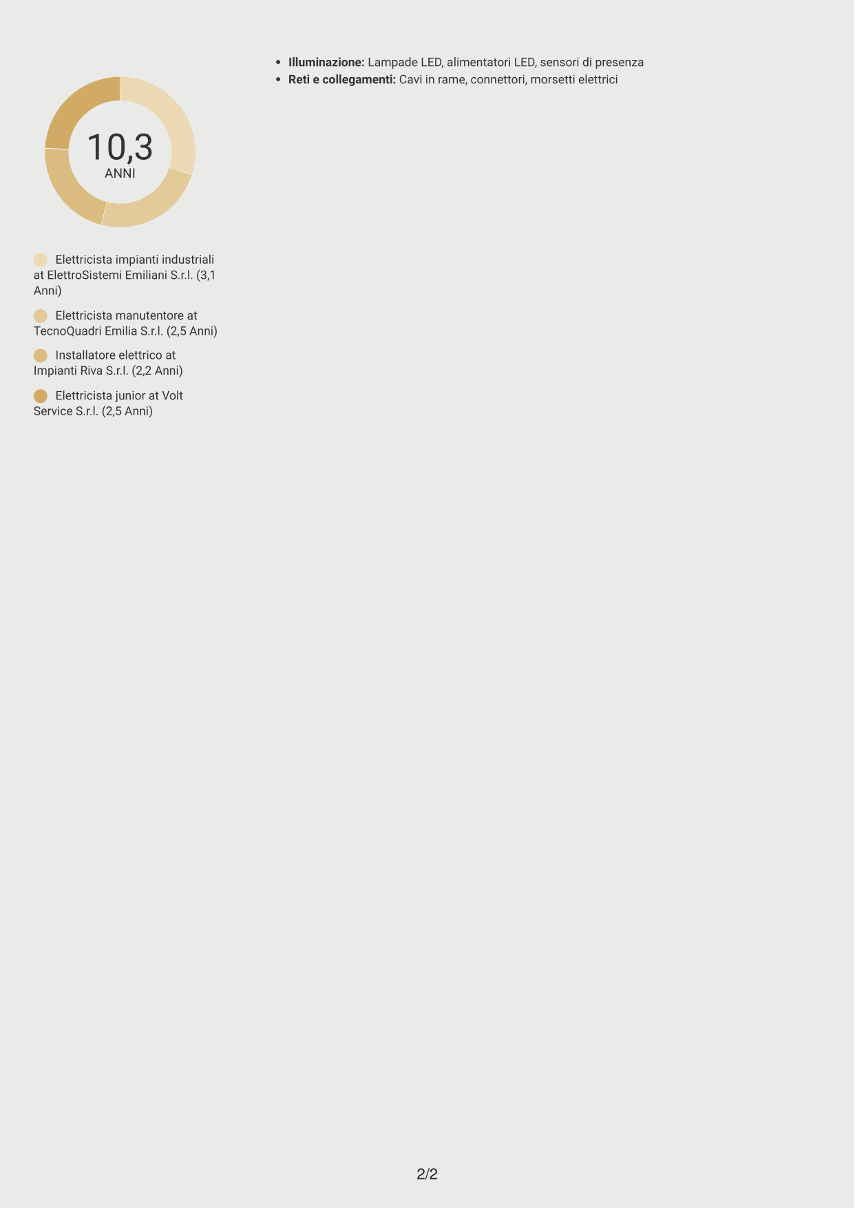 CV Dinamico (formato a due colonne con icone): Elettricista - Impianti industriali MT/BT, pagina 2
