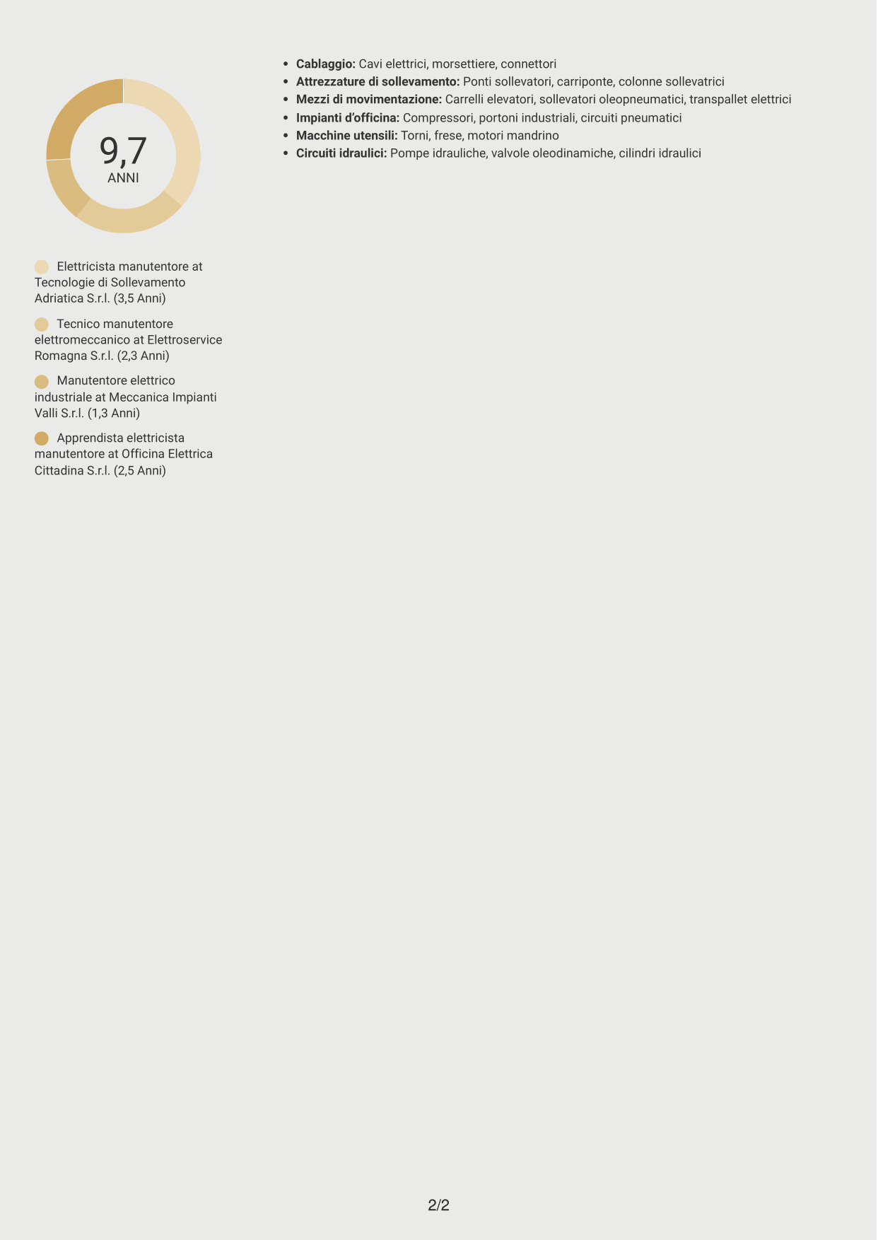 CV Dinamico (formato a due colonne con icone): Elettricista manutentore - Impianti e attrezzature d'officina, pagina 2