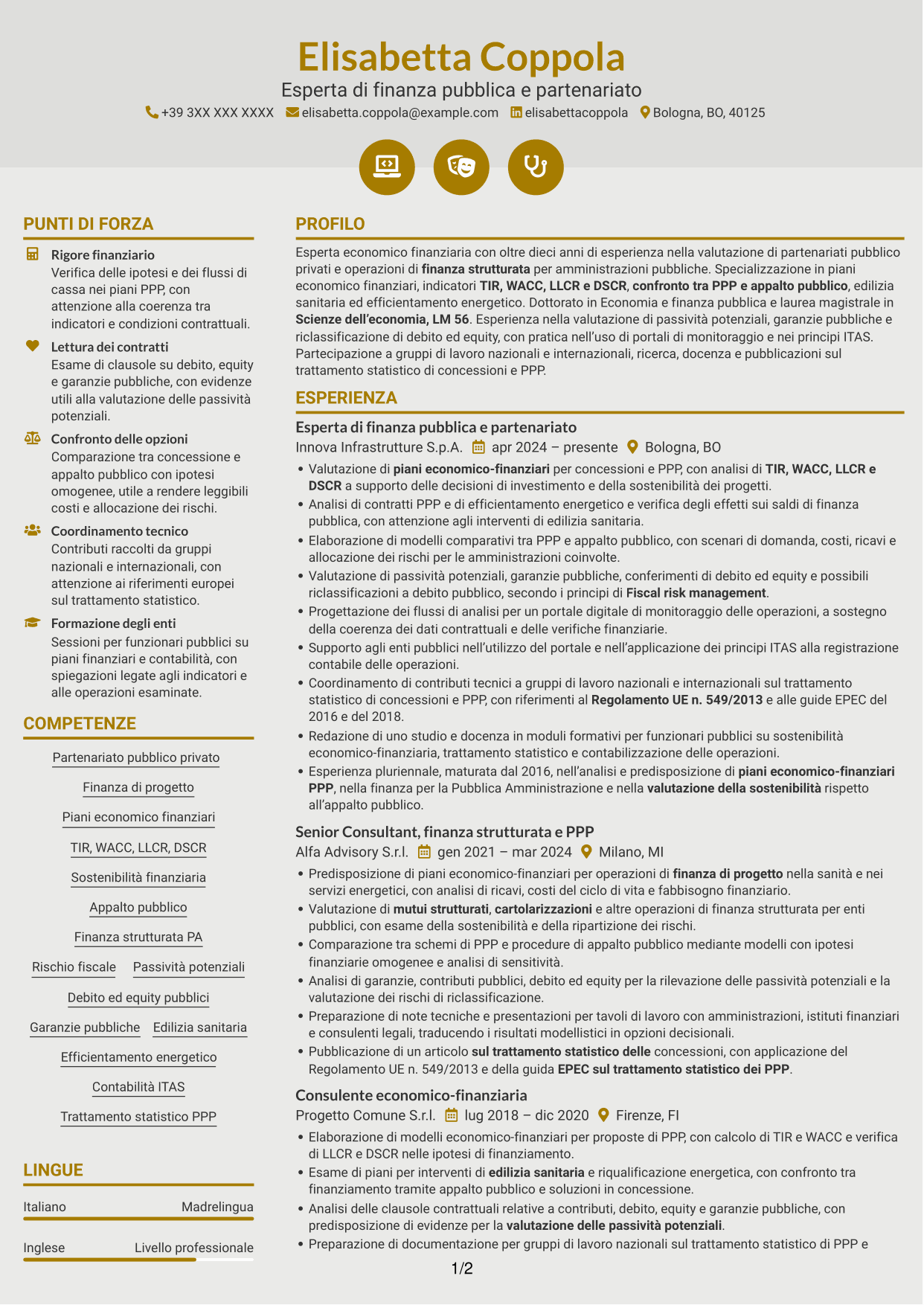 CV Dinamico (formato a due colonne con icone): Esperto economico-finanziario - Partenariato pubblico-privato, pagina 1