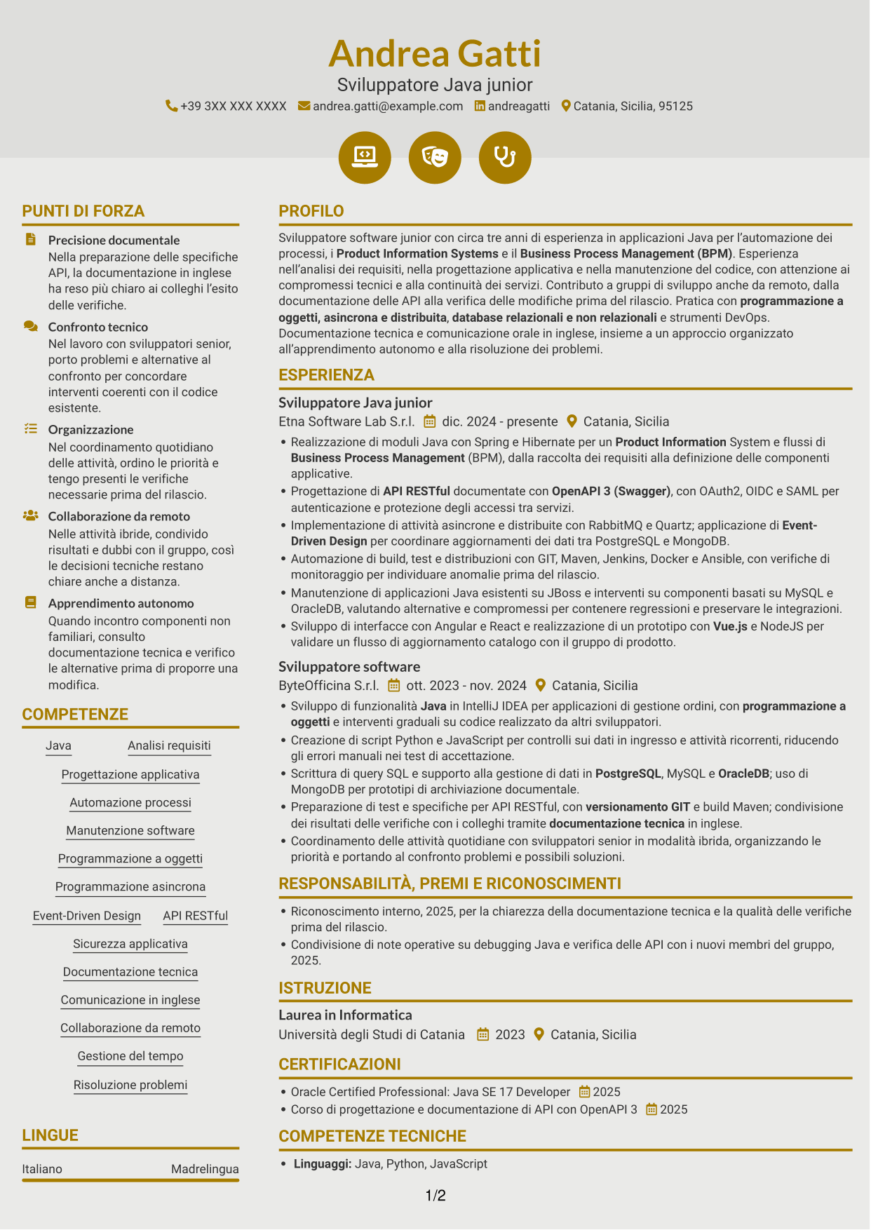 CV Dinamico (formato a due colonne con icone): Ingegnere di sviluppo junior - Automazione dei processi, pagina 1