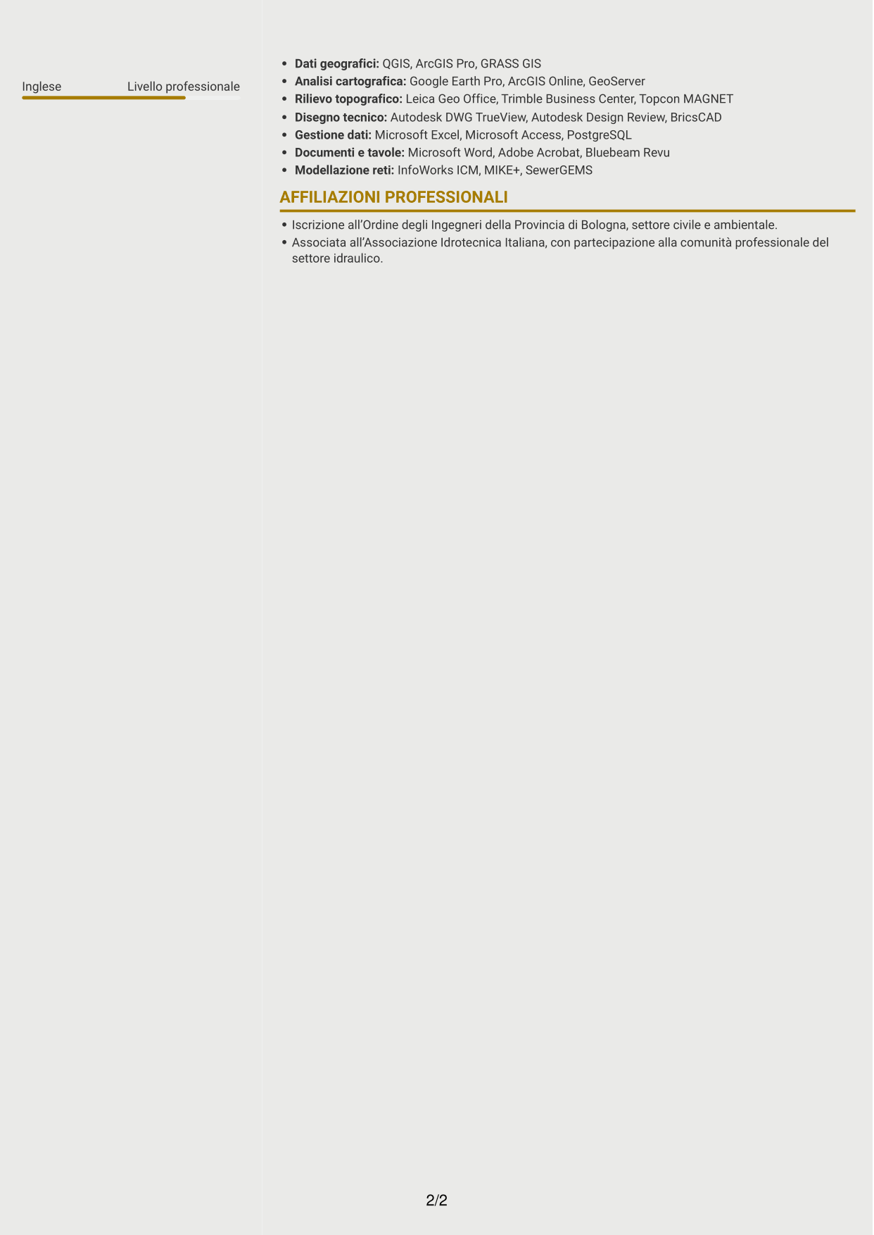 CV Dinamico (formato a due colonne con icone): Ingegnere Idraulico - Progettazione Esecutiva, pagina 2