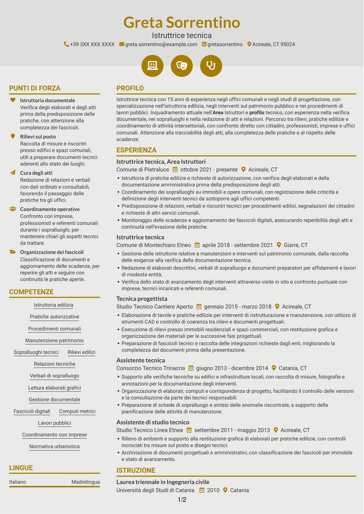 CV Dinamico (formato a due colonne con icone): Istruttore tecnico, pagina 1