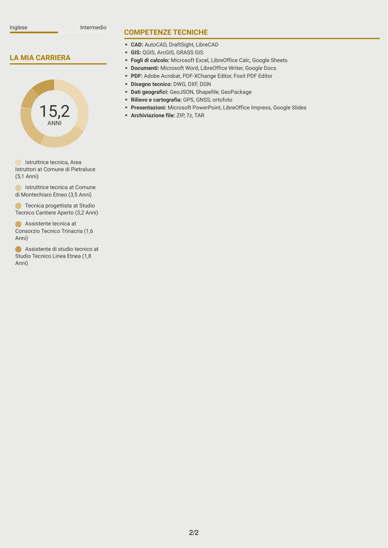 CV Dinamico (formato a due colonne con icone): Istruttore tecnico, pagina 2