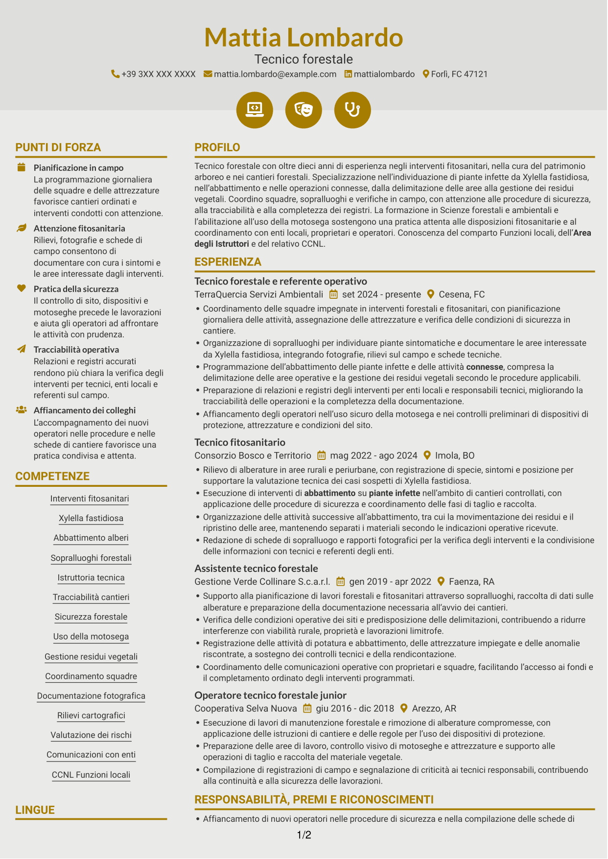 CV Dinamico (formato a due colonne con icone): Istruttore tecnico - Interventi fitosanitari su Xylella fastidiosa, pagina 1