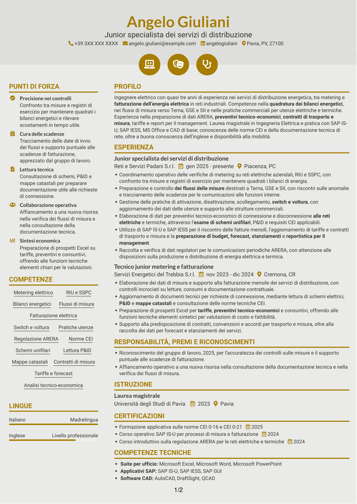 CV Dinamico (formato a due colonne con icone): Junior Servizi di Distribuzione - Metering e Regolazione, pagina 1