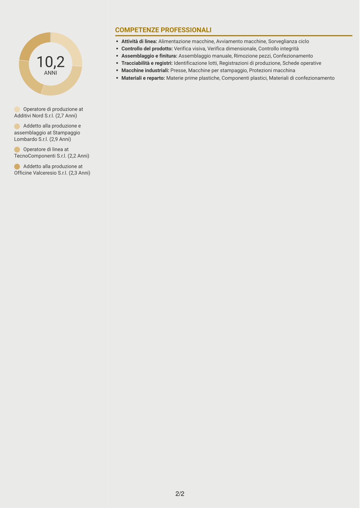 CV Dinamico (formato a due colonne con icone): Operaio di produzione - Assemblaggio e controllo qualità, pagina 2