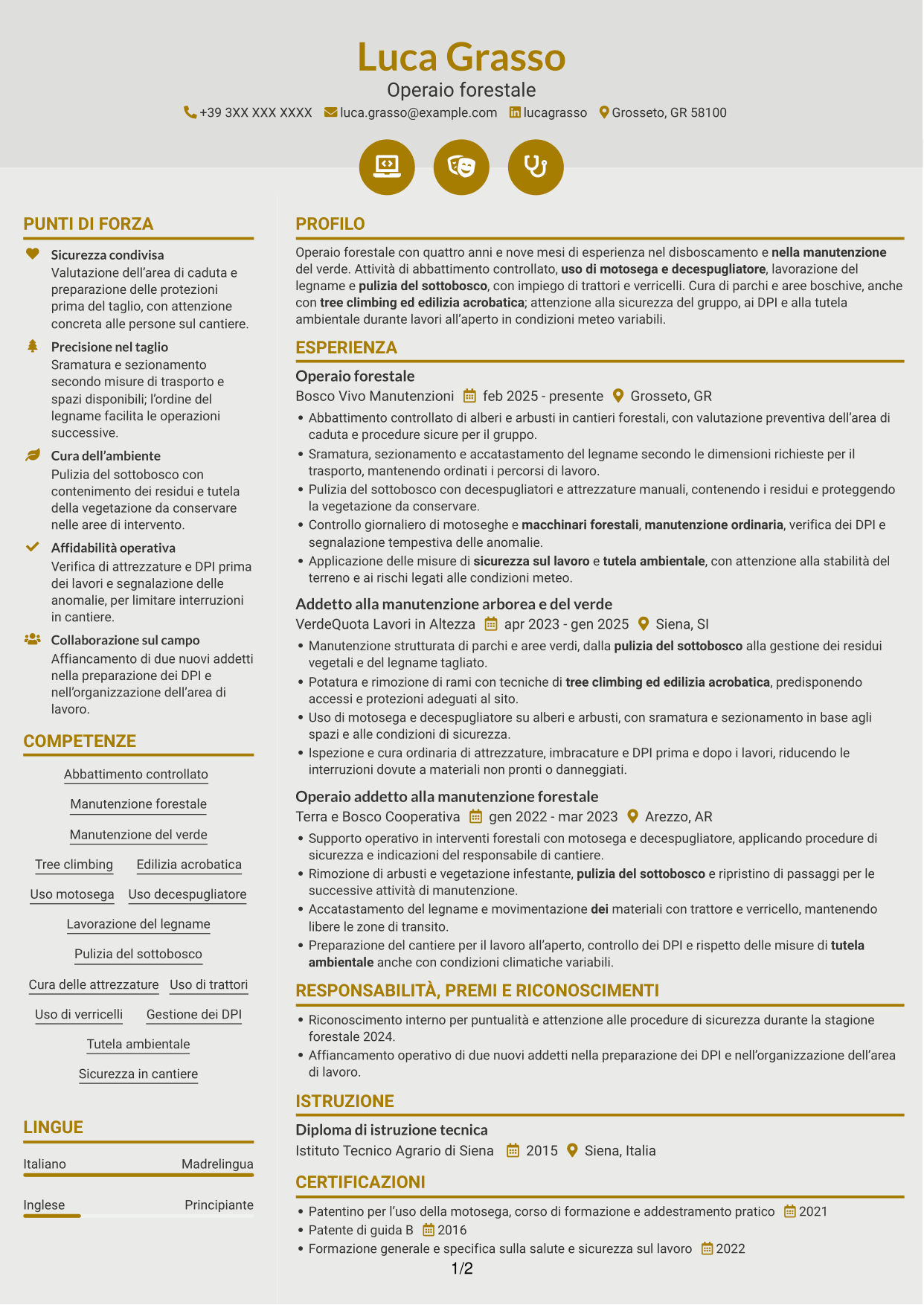 CV Dinamico (formato a due colonne con icone): Operaio forestale - Disboscamento e manutenzione forestale, pagina 1