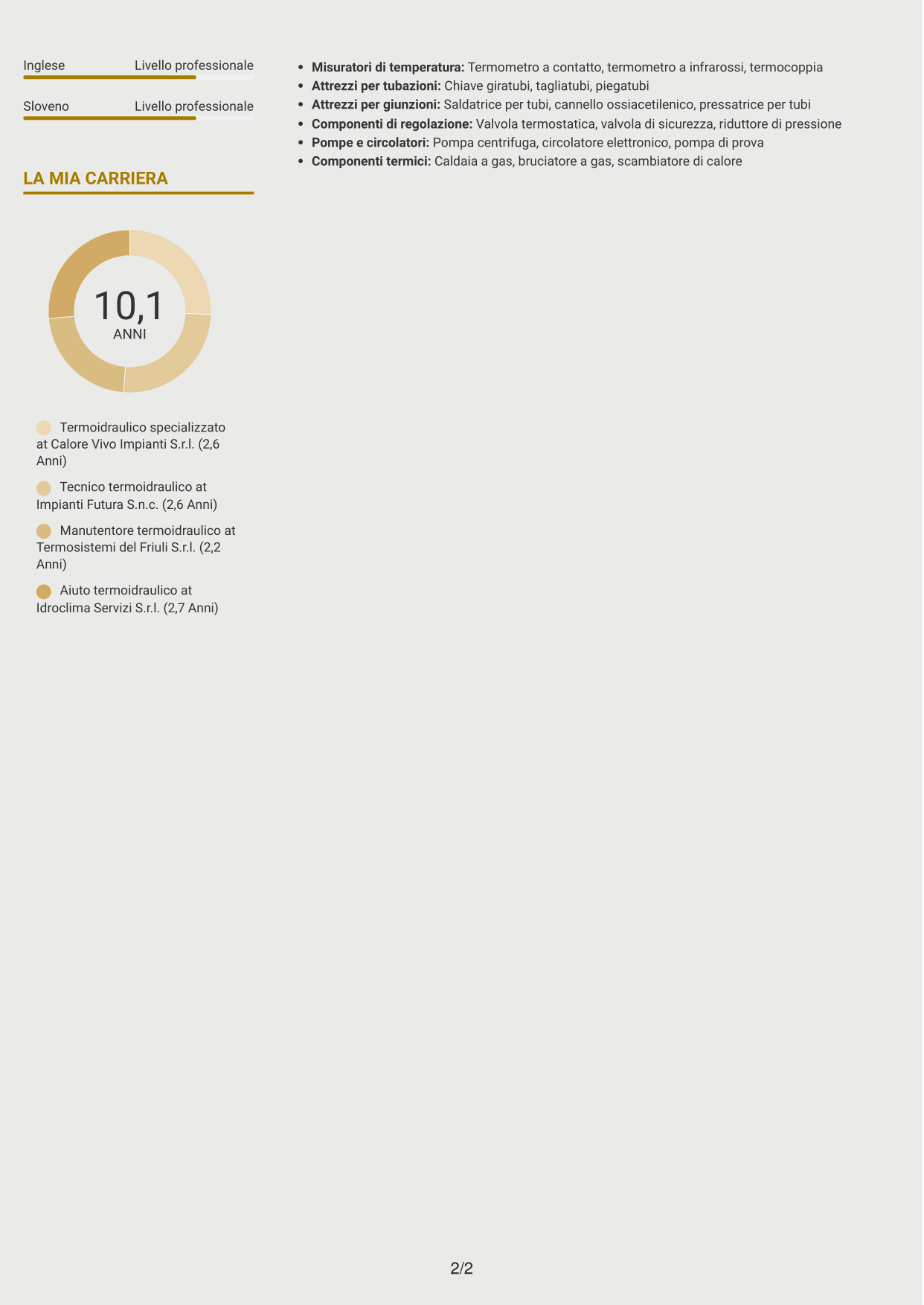 CV Dinamico (formato a due colonne con icone): Operaio specializzato termoidraulico - Conduzione di generatori di vapore, pagina 2